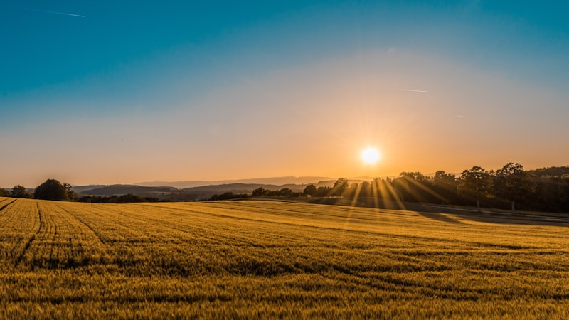 Pueblo, Colorado farmland