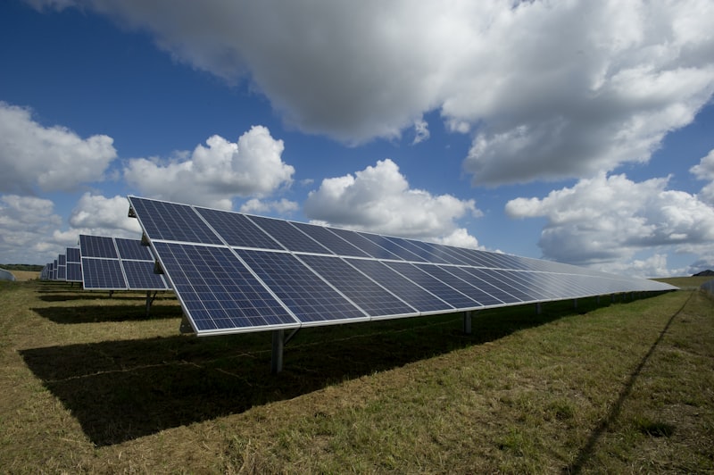 Cannabis cultivation energy use in Colorado — sustainability